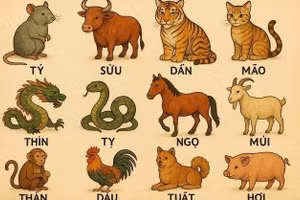 Tử vi 12 con giáp ngày 5/4: Thìn, Mùi, Dậu vận may vây quanh, tài lộc, tình cảm đều rực rỡ