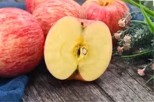 Chất xơ trong táo thúc đẩy tiêu hóa, giảm tích tụ độc tố trong cơ thể, từ đó gián tiếp bảo vệ phổi. (Ảnh: ITN)