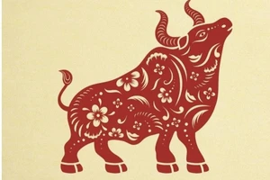 Tử vi tuổi Sửu 2026: Hứa hẹn nhiều đột phá, cảnh báo họa tiểu nhân