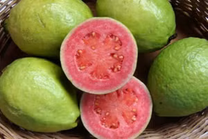 Không phải ai cũng phù hợp để ăn ổi. (Ảnh: ITN)