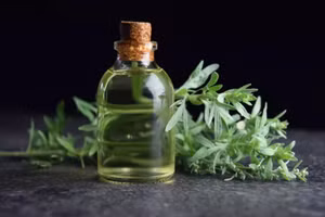 Một nghiên cứu cho thấy ngải cứu giúp cải thiện tiêu hóa bằng cách giảm co thắt ở dạ dày và ruột. (Ảnh: ITN)