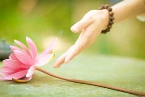 Tử vi 12 con giáp ngày 26/8: Mùi, Tuất tài chính rộng mở, Hợi được quý nhân nâng đỡ