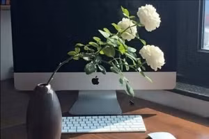 Tử vi 12 con giáp ngày 19/9: Mùi vượng tình duyên, Hợi không nên mưu sự chuyện lớn