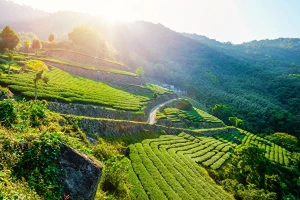 Ma Kết có cơ hội tuyệt vời trong sự nghiệp, Song Tử dễ 'sa lưới tình' ngày 30/9