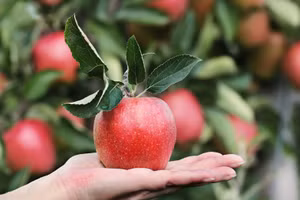 "Tác động tâm lý" thực sự có thể khiến con người cảm thấy tốt hơn. (Ảnh: ITN)