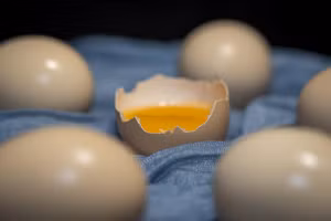 Có sự khác biệt đáng kể giữa những người ăn 2 quả trứng mỗi ngày và những người hiếm khi ăn trứng. (Ảnh: ITN)