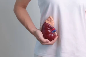 Bệnh thận thường phát triển âm thầm theo thời gian. (Ảnh: ITN).