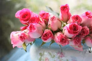 Mão, Hợi tình cảm ngọt ngào, Dần kiếm được khoản tiền kha khá ngày 20/10 