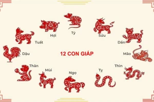  Tử vi 12 con giáp 8/12: Thìn tài chính tăng đáng kể, Sửu tình yêu thăng hoa