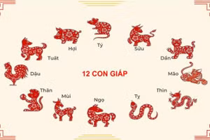 Tử vi 12 con giáp ngày 1/7: Mùi vận khí vững vàng, Hợi đào hoa nở rộ