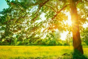3 con giáp đón tin vui, công việc hanh thông lại có cơ hội tăng thu nhập ngày 29/5