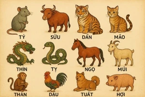 Tử vi 12 con giáp ngày 26/1: Tuất tài lộc dồi dào, Dần sự nghiệp thăng hoa