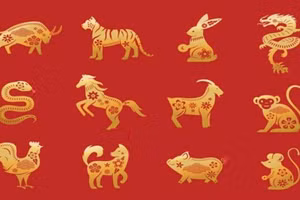 Tử vi 12 con giáp tuần mới từ 31/3- 6/4: Sửu, Mùi, Dậu có nhiều cơ hội kiếm tiền