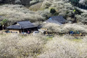 Nàng thơ Hồ Minh Thông 'tự sự Mộc Châu'