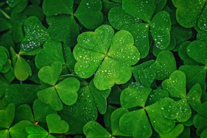 3 cung hoàng đạo vận đỏ như son, tình yêu, tiền tài đều rực rỡ tuần mới 10-16/2