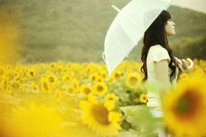 Sư Tử rơi vào tình huống khó xử, Xử Nữ cần kiên nhẫn ngày 8/9