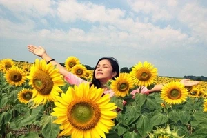  Sư Tử cảm thấy ức chế, Bọ Cạp bị nhấn chìm trong mớ cảm xúc tồi tệ ngày 13/11