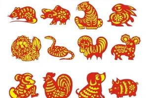 Mùi công việc thăng tiến, Hợi tình cảm phức tạp kiếp đào hoa khó tránh ngày 7/11