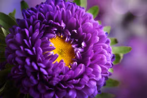 3 cung hoàng đạo rũ bỏ mọi lo âu, càng về cuối tuần càng vui vẻ