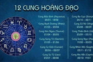 Tử vi 12 cung hoàng đạo 6/9: Song Tử gặp nhiều may mắn, Bảo Bình có bước tiến mới