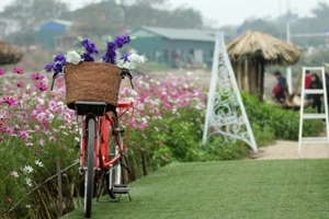 Sư Tử nên thư giãn và nghỉ ngơi, Song Ngư hạnh phúc bên người thân ngày 9/1