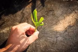 Nếu không kiểm soát tốt bệnh lười biếng, nó sẽ trở thành chướng ngại vật lớn nhất, tấn công và ngăn cản chúng ta mọi lúc mọi nơi. (Ảnh: ITN).