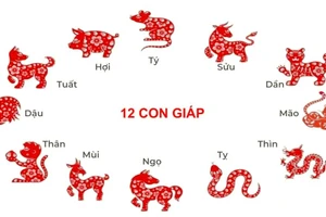 Tử vi 12 con giáp 28/5: Sửu gặp trở ngại do tiểu nhân, Dậu phát triển sự nghiệp