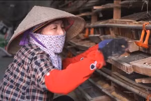 Giảm nghèo nhờ chính sách hỗ trợ trực tiếp hiệu quả. Ảnh TL