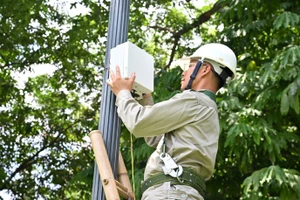 Ảnh minh họa. Nguồn Viettel