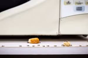 Cảnh tượng này thực sự khiến bạn khó chịu. (Ảnh: ITN)