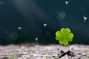 3 con giáp tài lộc hanh thông, công việc tiến triển nhảy vọt ngày 11/1