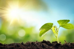 Sư Tử khiến rất nhiều người ngưỡng mộ, Song Ngư khá vất vả ngày 2/11