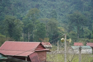 Thu hẹp khoảng cách thông tin giúp người dân có cơ hội để thoát nghèo. Ảnh:Giảm Xuân Thi