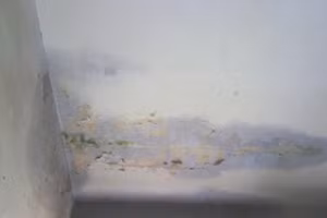 Trong thời tiết mưa to, cần luôn để ý xem nhà có bị dột hay không. (Ảnh: ITN).