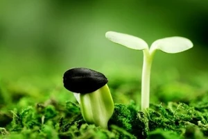 Tử vi 12 cung hoàng đạo ngày 29/9 gọi tên chòm sao may mắn nhất, đón nhận mọi vận may