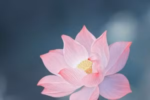 Khi cuộc sống quá suôn sẻ, chúng ta cần phải cẩn thận với việc tiêu hao phúc báu. (Ảnh: ITN).