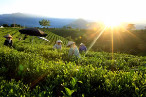 Năm 2026 vẫn áp dụng chuẩn nghèo đa chiều giai đoạn 2022–2025. Ảnh TL