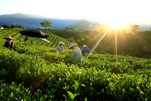 Năm 2026 vẫn áp dụng chuẩn nghèo đa chiều giai đoạn 2022–2025. Ảnh TL