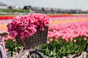 Top 3 cung hoàng đạo đường tài lộc hanh thông, tình duyên rực rỡ ngày 17/1