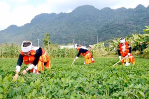 Tăng thêm nguồn lực nâng cao đời sống đồng bào để không ai bị bỏ lại phía sau