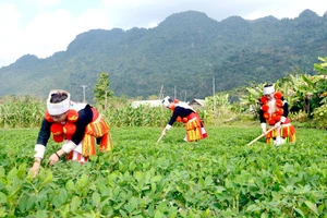 Tăng thêm nguồn lực nâng cao đời sống đồng bào để không ai bị bỏ lại phía sau