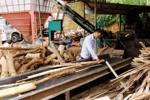 Nguồn vốn tín dụng ưu đãi từ Ngân hàng Chính sách xã hội tỉnh giúp cho người dân có điều kiện phát triển kinh tế. Ảnh TN