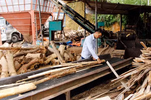 Nguồn vốn tín dụng ưu đãi từ Ngân hàng Chính sách xã hội tỉnh giúp cho người dân có điều kiện phát triển kinh tế. Ảnh TN