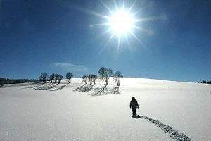 Song Tử đi từng bước thật chậm, Bò Cạp gặp nhiều thử thách trước mắt ngày 21/11