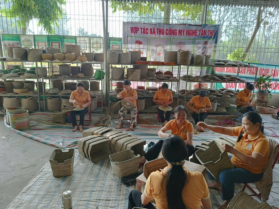 Hợp tác xã Tân Thọ tạo việc làm cho hơn 500 lao động địa phương. img-20250724-113102.jpg