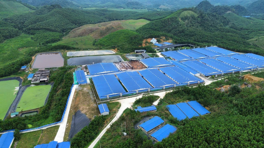 Trang trại lợn của Công ty Cổ phần Đầu tư quốc tế ASEAN có quy mô nuôi 30 ngàn con/năm. z7171640019959-42856e322eca75db01bfbf6c2b579b1b.jpg