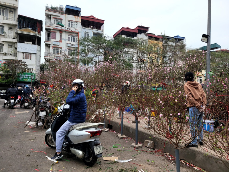 Chợ đào quất ế ẩm ngày cận Tết, tiểu thương ngán ngẩm bán đồng giá