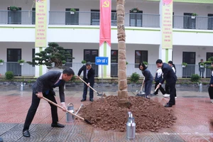 Ngành Giáo dục Hà Nội vận động trồng mới 15.000 cây xanh