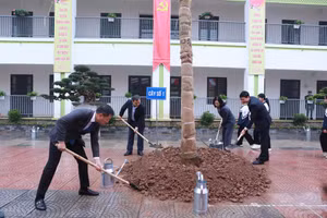 Ngành Giáo dục Hà Nội vận động trồng mới 15.000 cây xanh