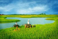Minh họa/INT.